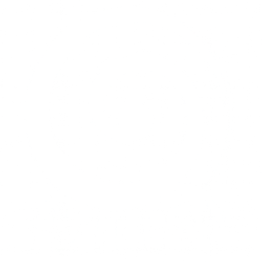 STILLQI